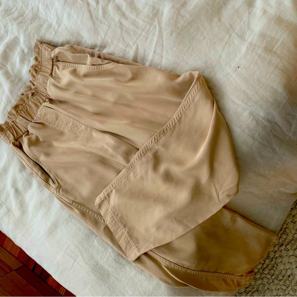 Aritzia Babaton Pants